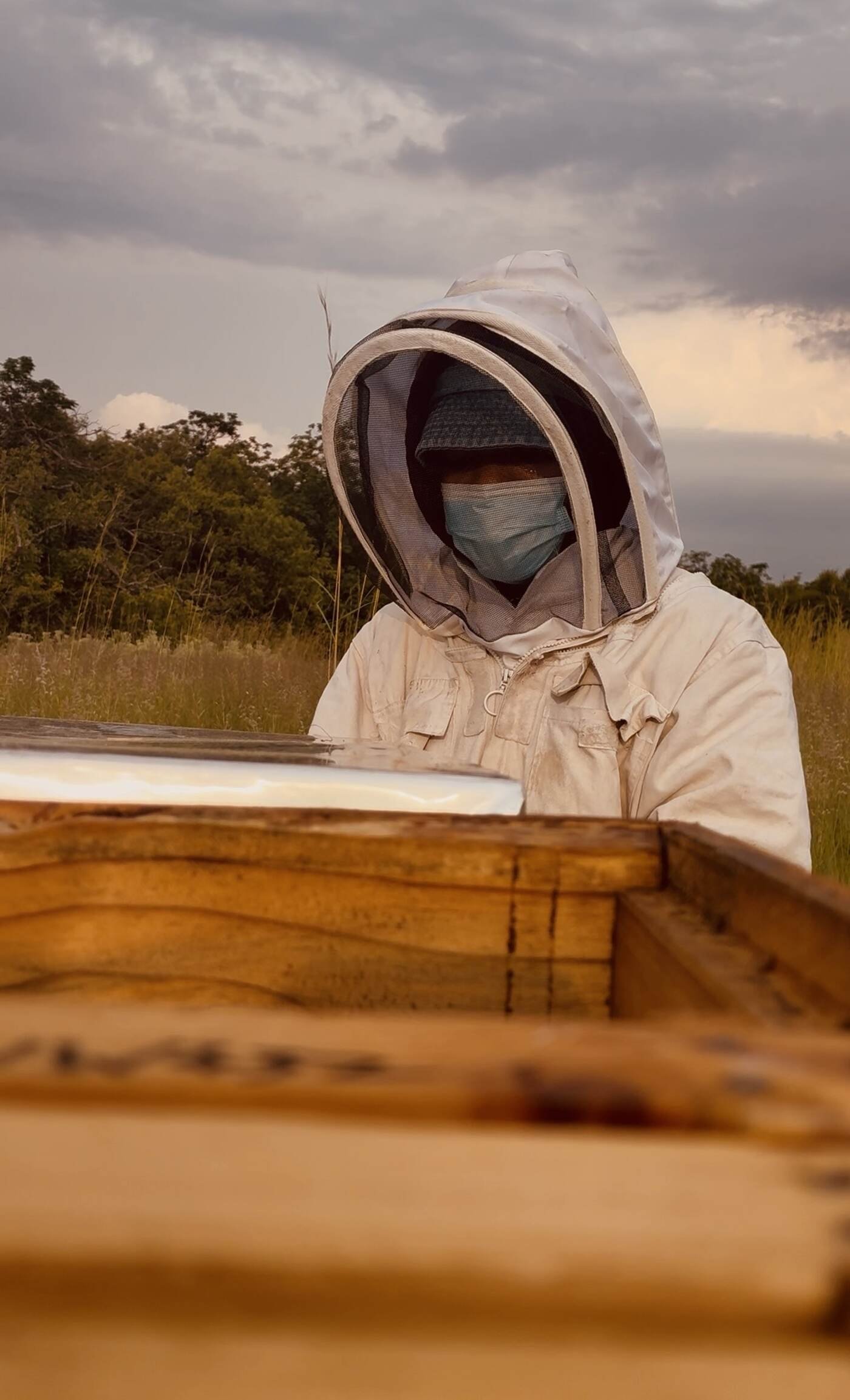 Brother Bee ZA beekeeper in a white bee suit working a hive at dusk
