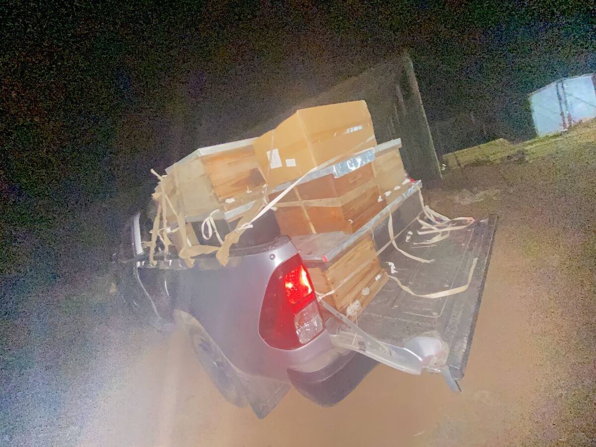 Wooden hive boxes loaded onto the back of a bakkie at night