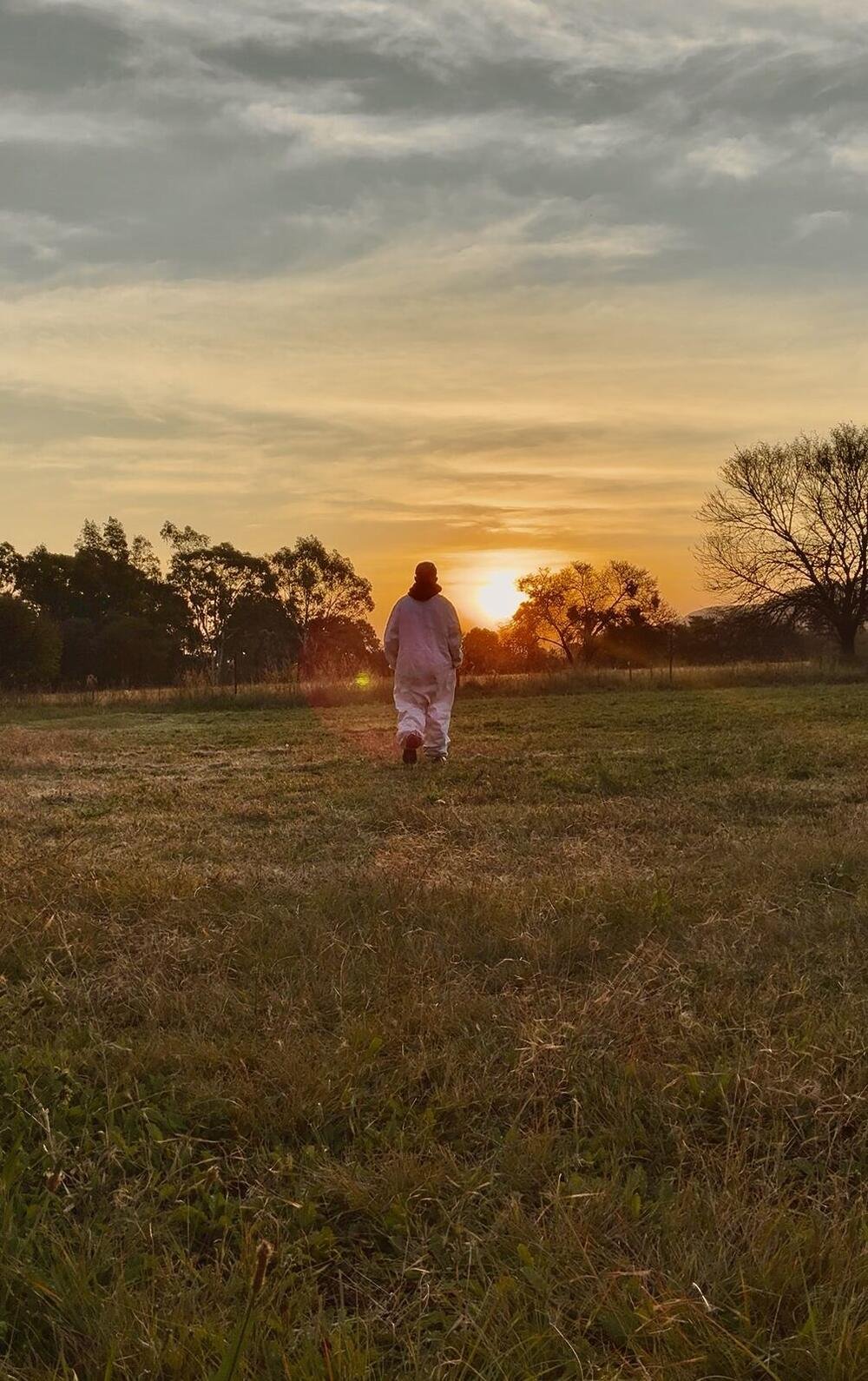 Beekeeper in a white bee suit walking across a field at sunset