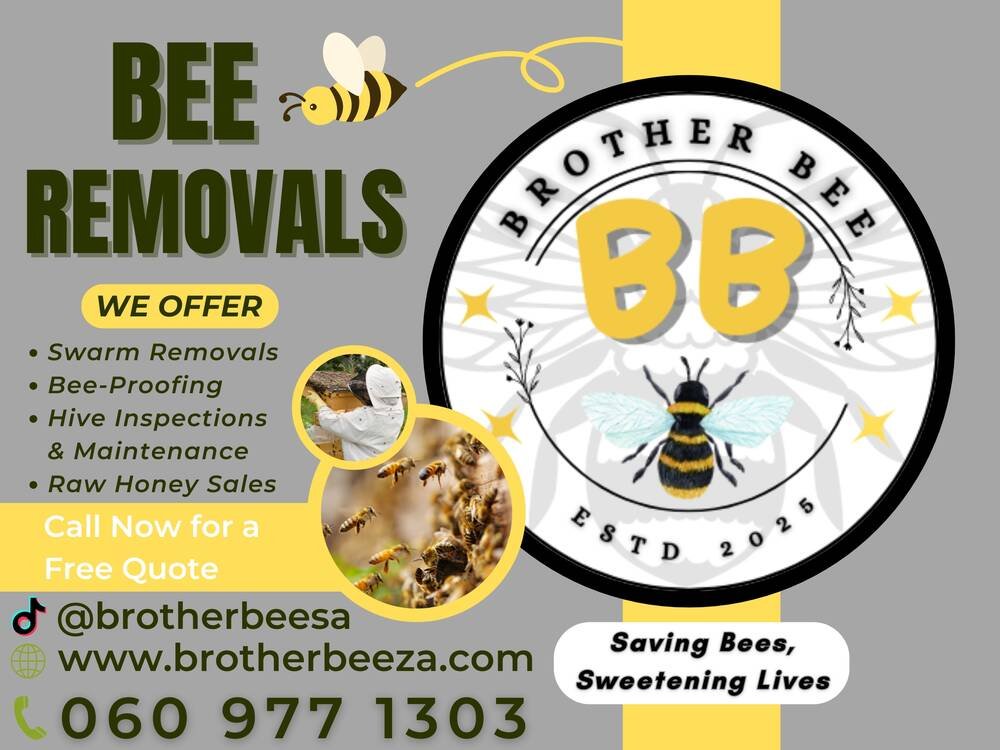 Brother Bee ZA branding on a work vehicle